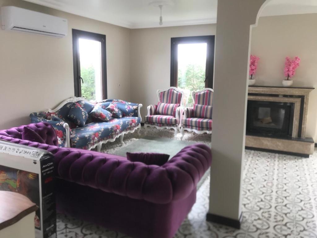 Sapanca Manzara Villa 1 Isitma Havuzlu Ngoại thất bức ảnh